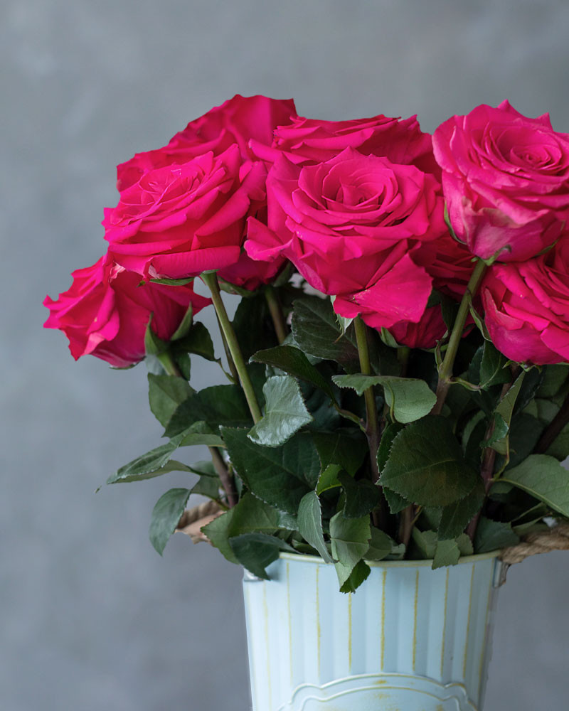 Роза Ви Ай Пинк Star Roses (50см/Розовый) Роза Ви Ай Пинк Star Roses (50см/Розовый)